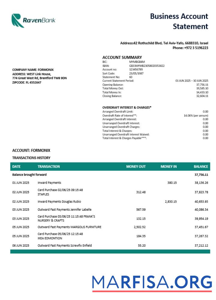 Realistic Raven enterprise statement Word and PDF format (1) template